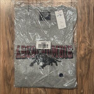 Abercrombie & Fitch Gray T-Shirt with Panther Graphic